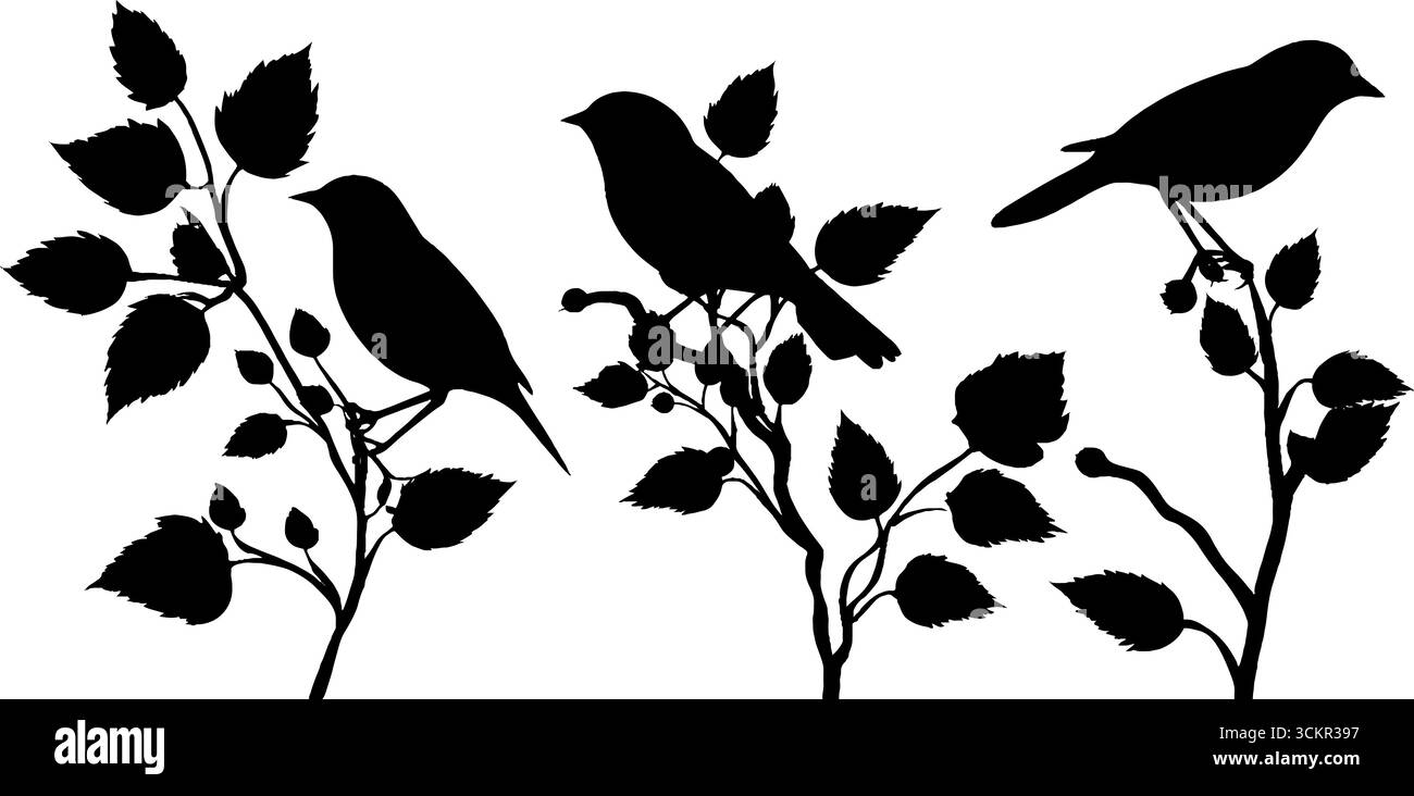 Sagome tradizionali per uccelli con rami floreali e frondosi per disegni naturalistici. Illustrazione Vettoriale