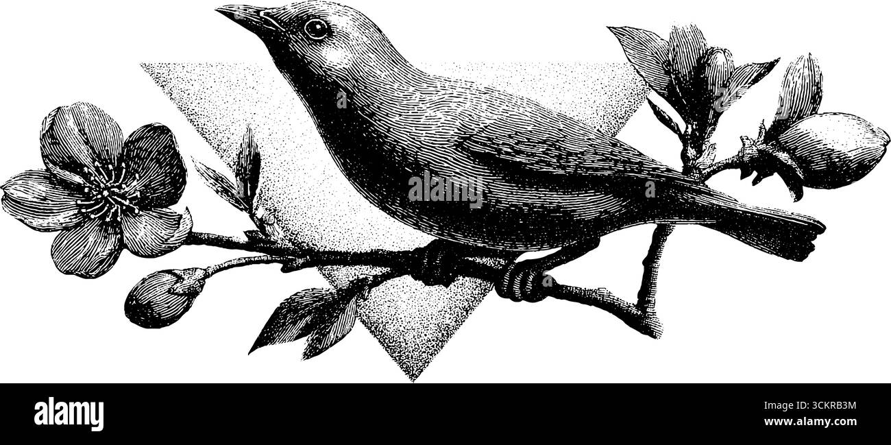 Uccello appollaiato sul ramo in fiore con un design a forma di tatuaggio. Illustrazione Vettoriale