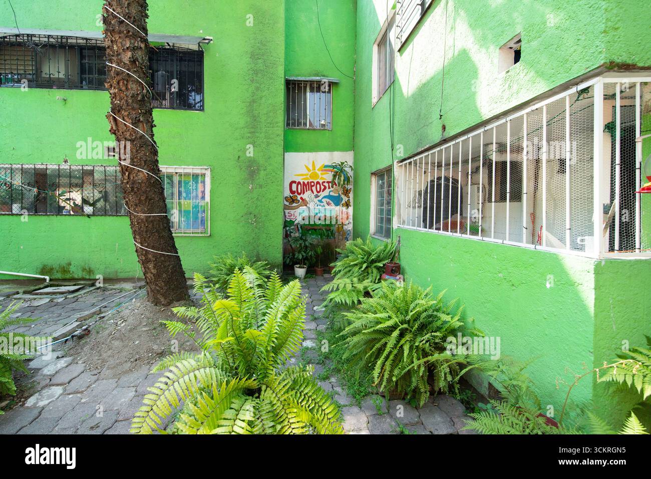 Città del Messico, Messico; 1 novembre 2025: Quartiere di Colonia la Romita, un piccolo, vecchio quartiere alternativo di città del Messico. Foto Stock