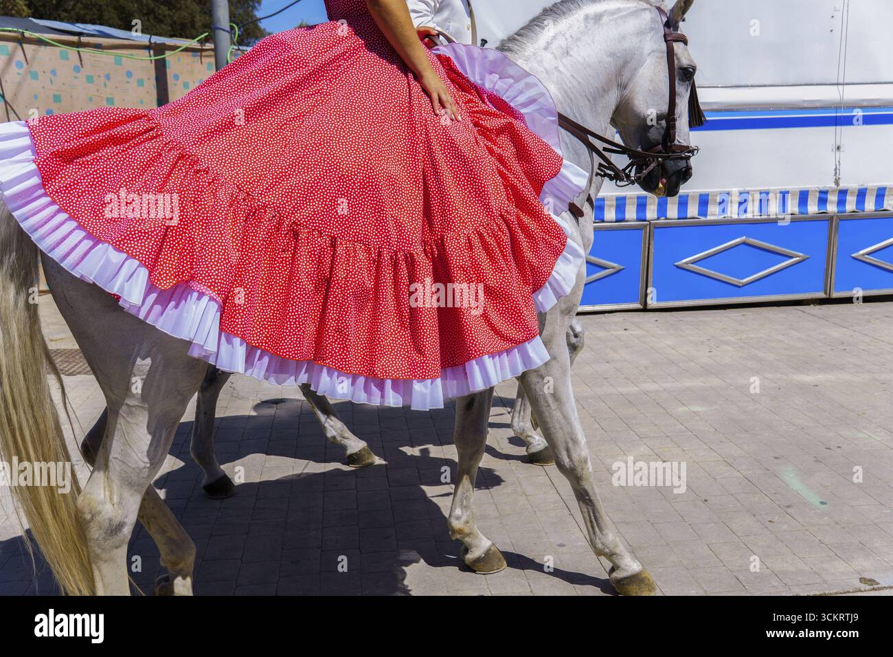 Cavaliere che indossa un abito di flamenco a cavallo bianco alla feria de abril di ronda, malaga, spagna Foto Stock