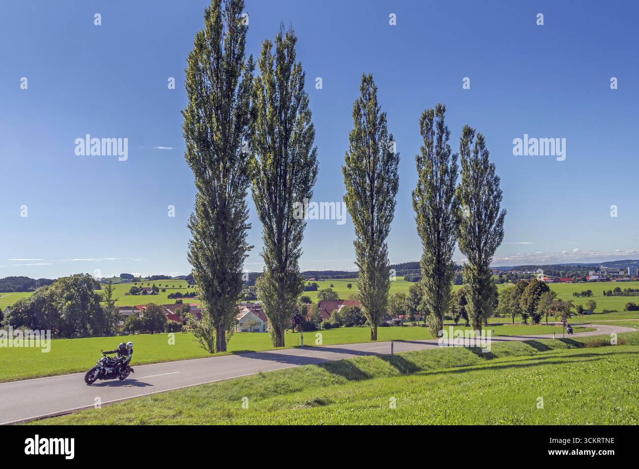 Cielo blu, pioppi colonnari, pioppi appuntiti (Populus nigra 'Italica) e moto su una strada di campagna tortuosa vicino a Wuchzenhofen, Allgaeu, Baden-Wuert Foto Stock