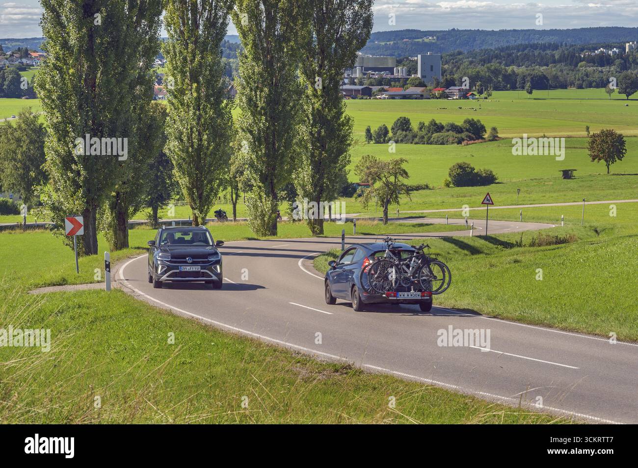 Pioppi colonnari, pioppi appuntiti (Populus nigra 'Italica), prati verdi, tortuose strade di campagna vicino a Wuchzenhofen, Allgaeu, Baden-Wuerttemberg, tedesco Foto Stock