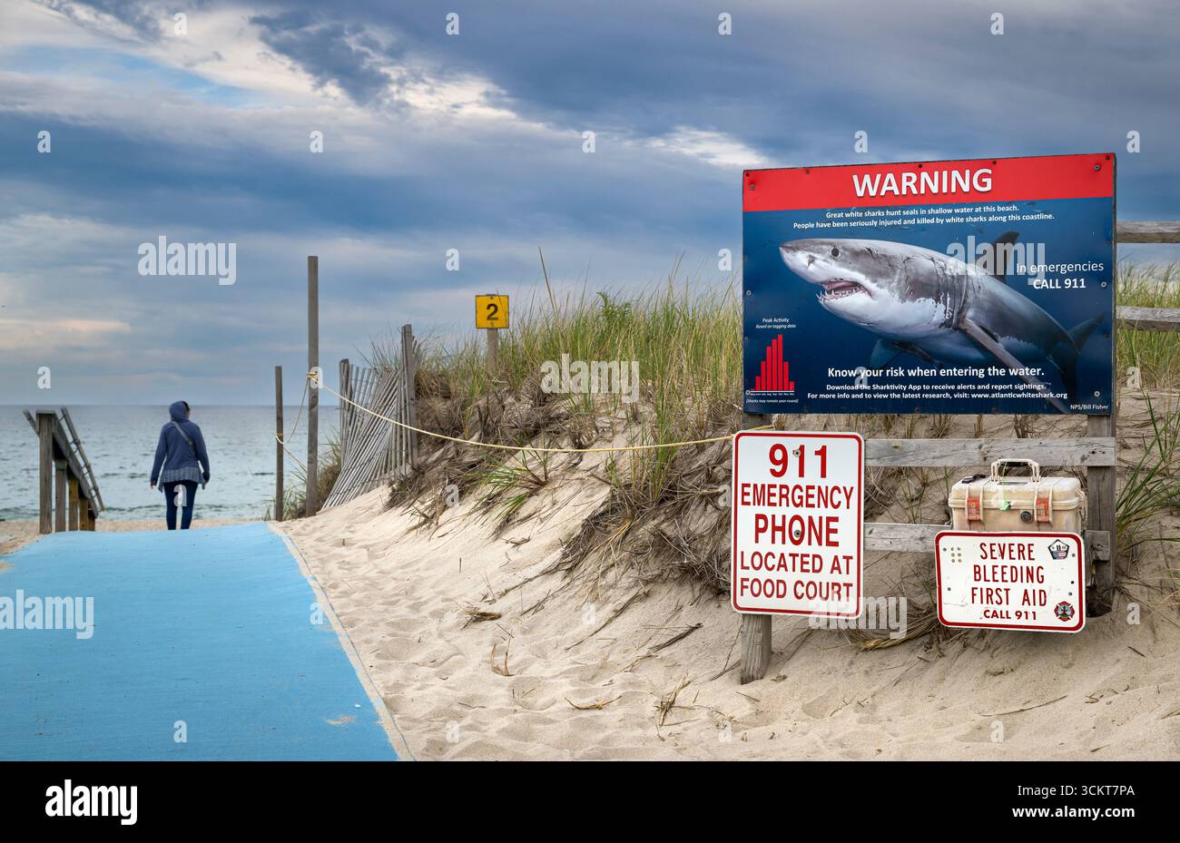 Segnalazione di squali e spiaggia, Nauset Beach, Cape Cod, Massachusetts, Stati Uniti Foto Stock