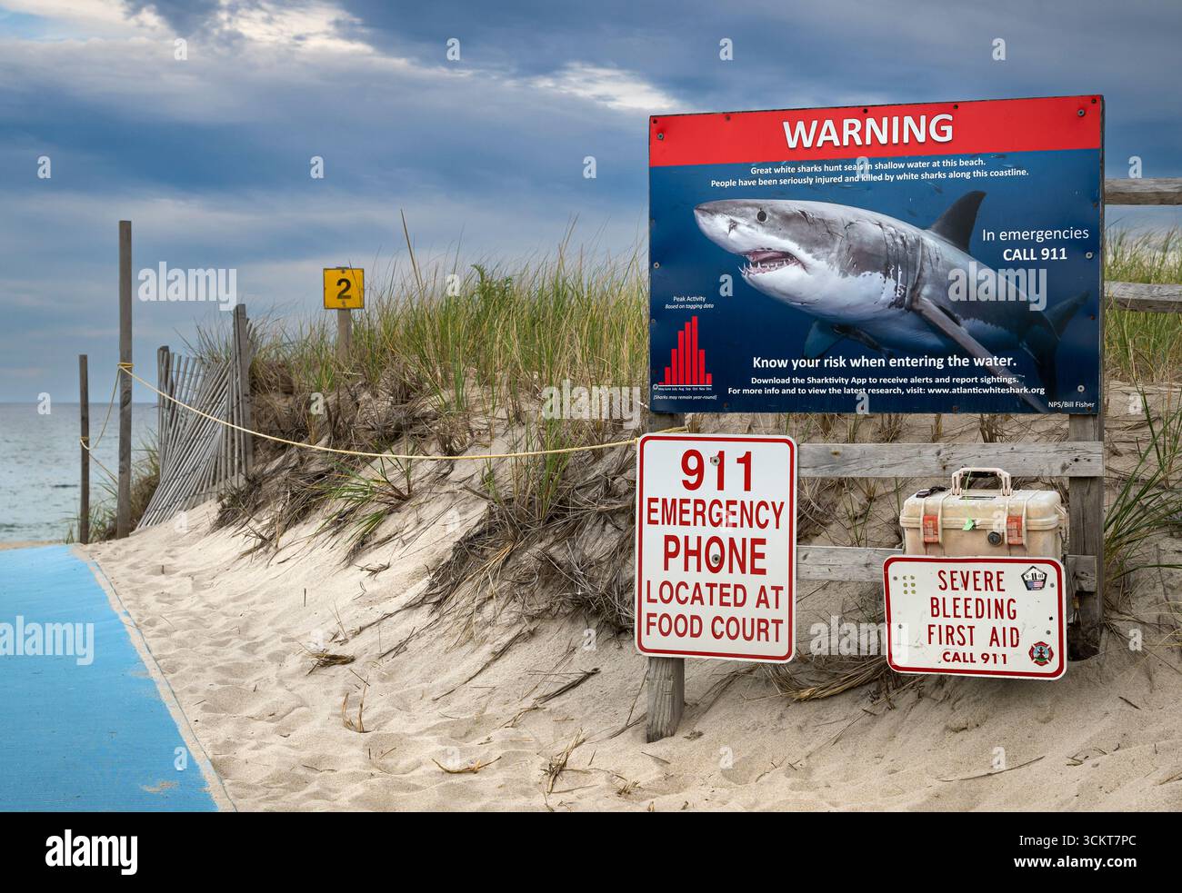 Segnalazione di squali e spiaggia, Nauset Beach, Cape Cod, Massachusetts, Stati Uniti Foto Stock
