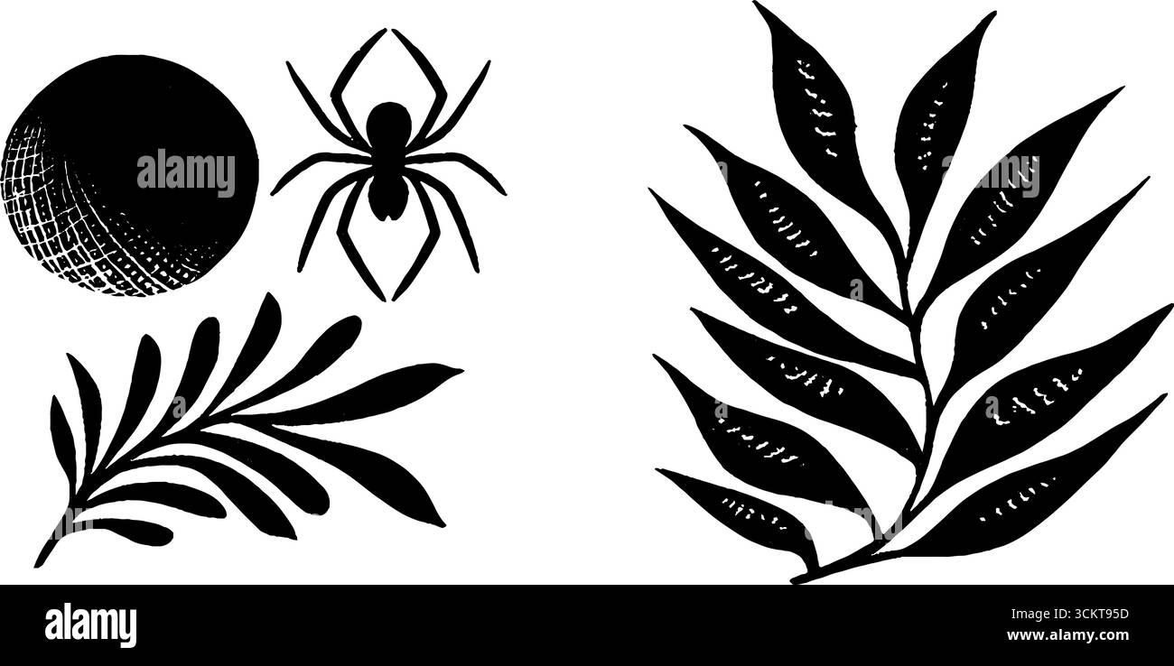 Silhouette ragno con elementi di ragnatela e luna per il design halloween. Illustrazione Vettoriale