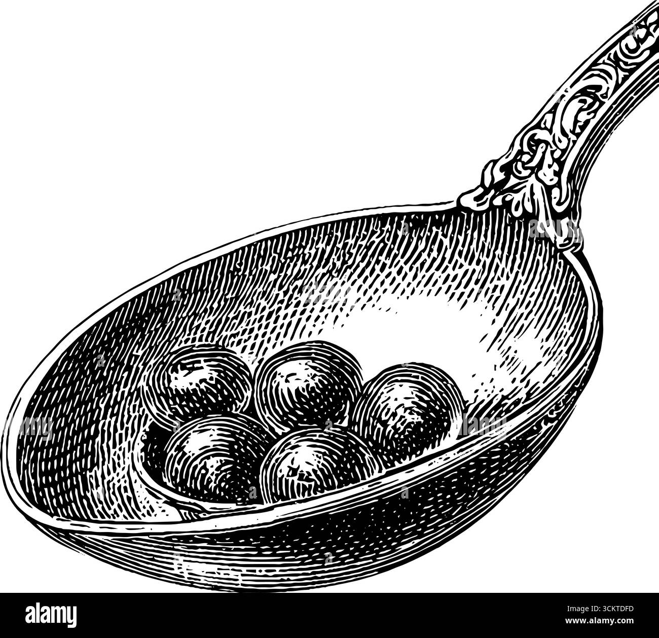 Incisione vintage di caviale cucchiaio con estetica classica per un design artistico culinario. Illustrazione Vettoriale