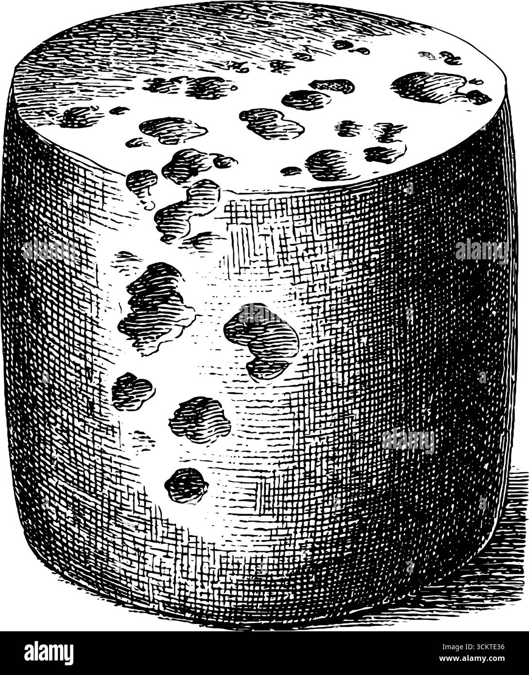 Incisione vintage di blocchi di formaggio con fori per design culinario o di stampa. Illustrazione Vettoriale