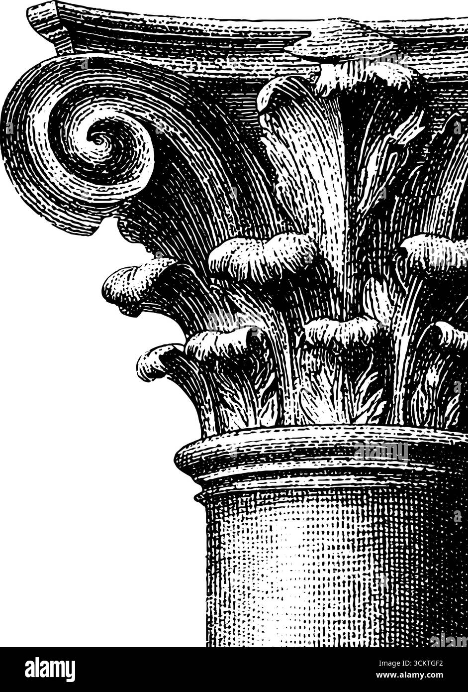 Intricati ornamenti di capitale corinzia incisioni vintage per il design. Illustrazione Vettoriale