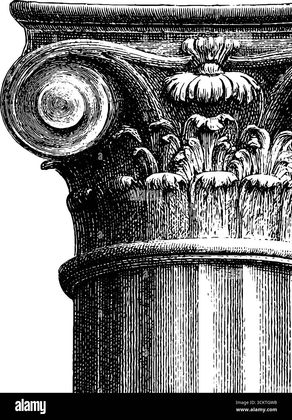 Elegante bordo decorativo della colonna vintage in stile incisivo per un design classico. Illustrazione Vettoriale