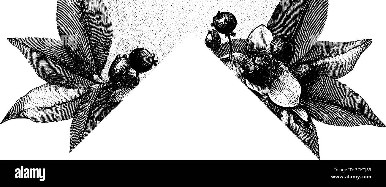 Tessuto goffrato in stile vintage con incisione e design floreale per uso decorativo. Illustrazione Vettoriale