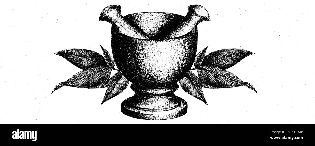 Design del tatuaggio con mortaio e pestello con elementi botanici. Illustrazione Vettoriale