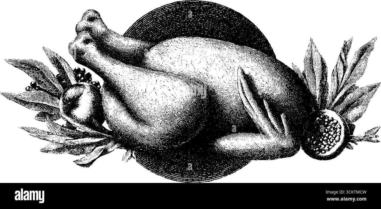 Pollo arrosto con incisione vintage e erbe aromatiche per arte culinaria e arredamento. Illustrazione Vettoriale
