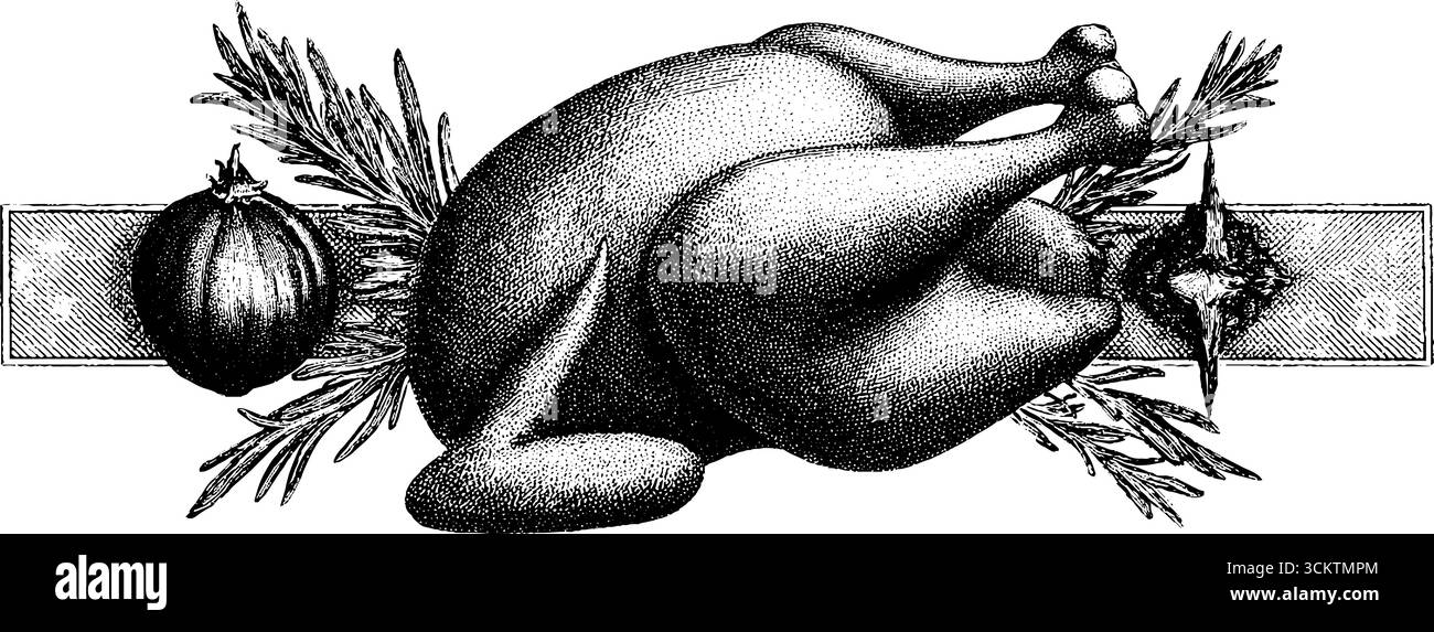 Pollo arrosto con erbe aromatiche in stile vintage per un design culinario. Illustrazione Vettoriale