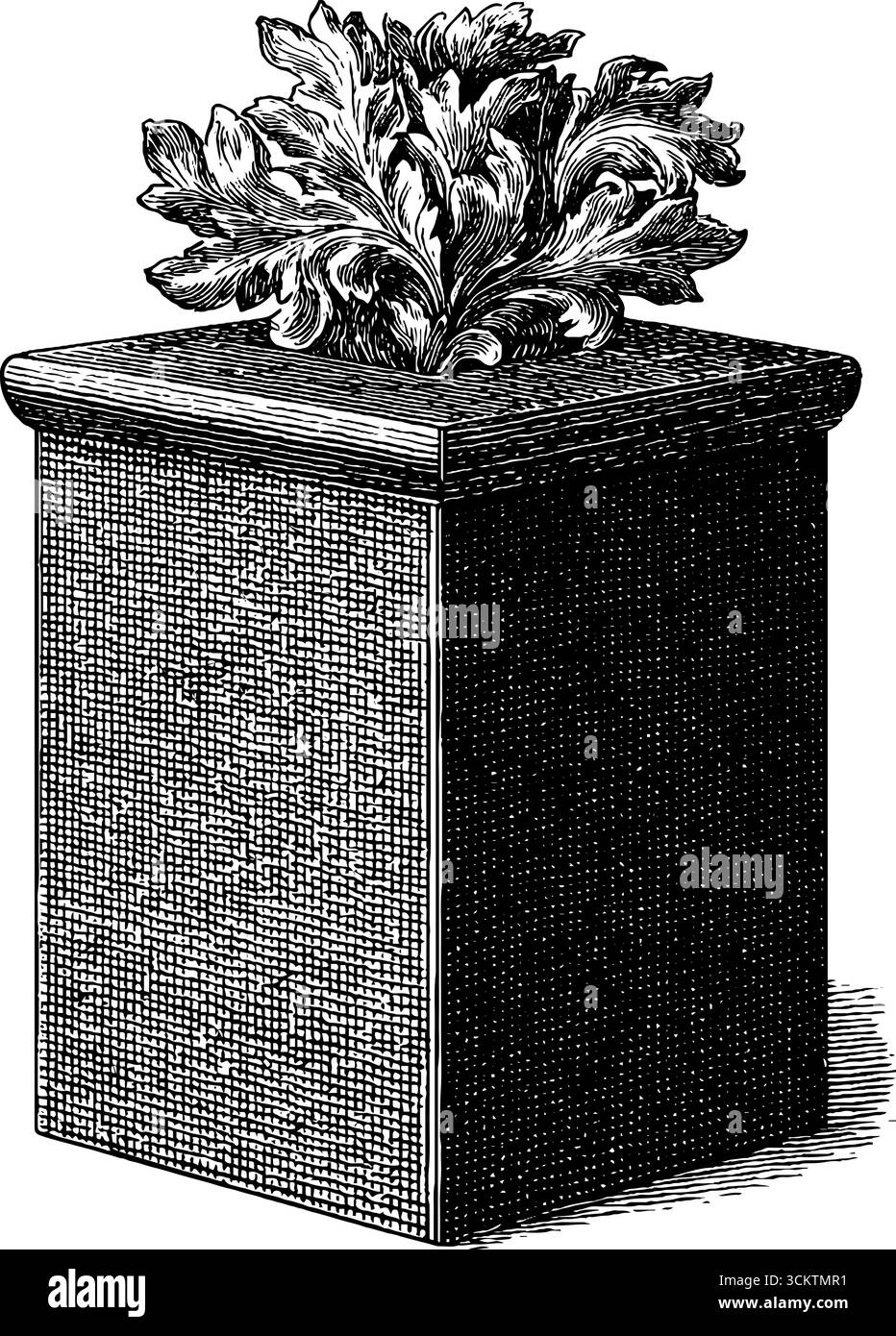 Stile d'incisione vintage con design decorativo pieghevole in cartone. Illustrazione Vettoriale