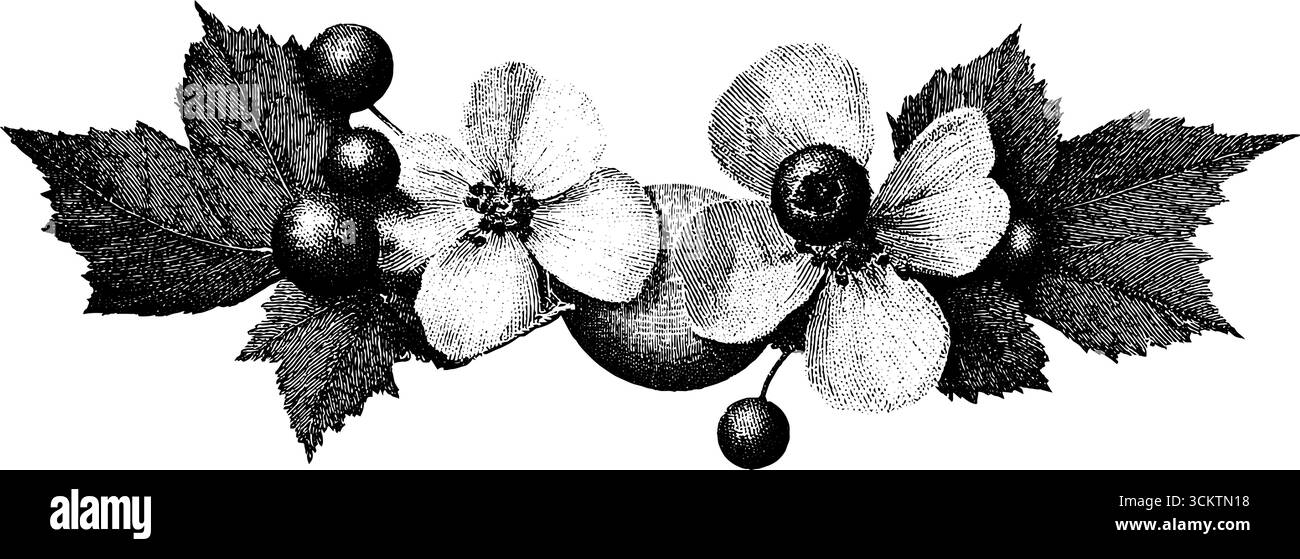 Ornamento vintage con ricami folcloristici con motivi floreali e a foglia in stile incisione. Illustrazione Vettoriale