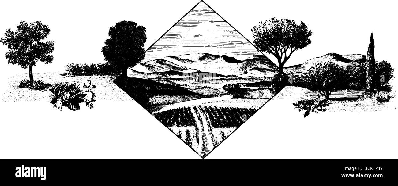 Bordo geometrico vintage con incisione e ambientazione naturale per il design. Illustrazione Vettoriale