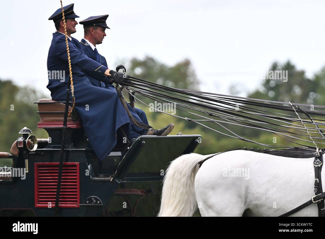 Il pilota Jiri Nesvacil Jr. Ha stabilito un nuovo record ceco quando oggi ha dimostrato di guidare una squadra a 24 cavalli il 13 settembre 2025 al National Stud Kladruby nad Labem, Repubblica Ceca. La precedente migliore prestazione in termini di numero di cavalli imbrigliati era 22. Nesvacil e la sua squadra di assistenti utilizzavano 12 paia di cavalli Kladruber, ciascuna composta da un cavallo bianco e un cavallo nero, in modo che la squadra risultante assomigliasse a una scacchiera. Anche il peso e la lunghezza delle redini erano record, pesando 52,3 chilogrammi e misurando un totale di 300 metri. L'intera squadra era a 35 metri lo Foto Stock