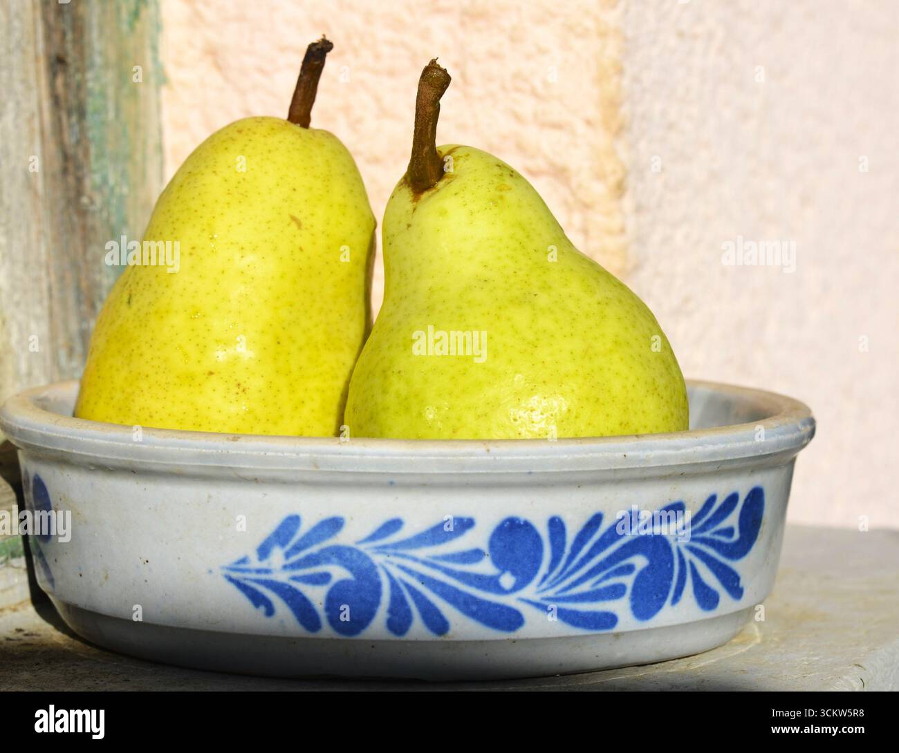 Due pere gialle in argilla d'epoca colorata, foto di STILL Life Foto Stock