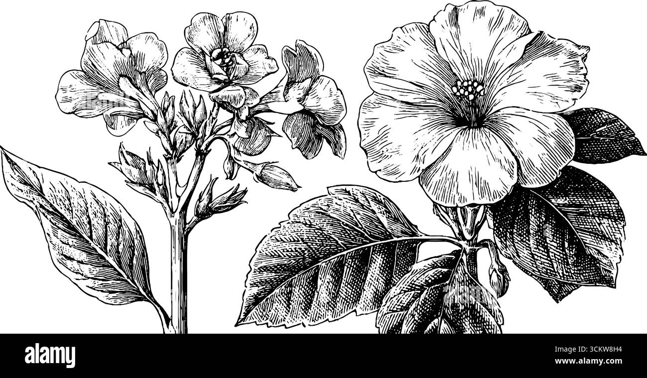 Elegante set di alfabeti cuciti a mano con intricati dettagli in pizzo per la decorazione. Illustrazione Vettoriale