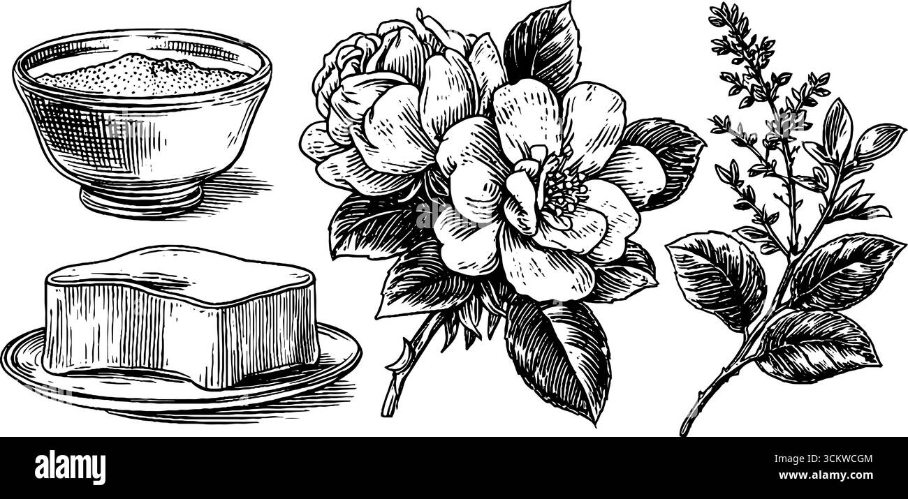 Anello in gelatina in fiore e tazza di mousse di gelsomino con composizione floreale per un design culinario. Illustrazione Vettoriale Anello in gelatina in fiore e tazza di mousse di gelsomino con composizione floreale per un design culinario. Illustrazione Vettoriale