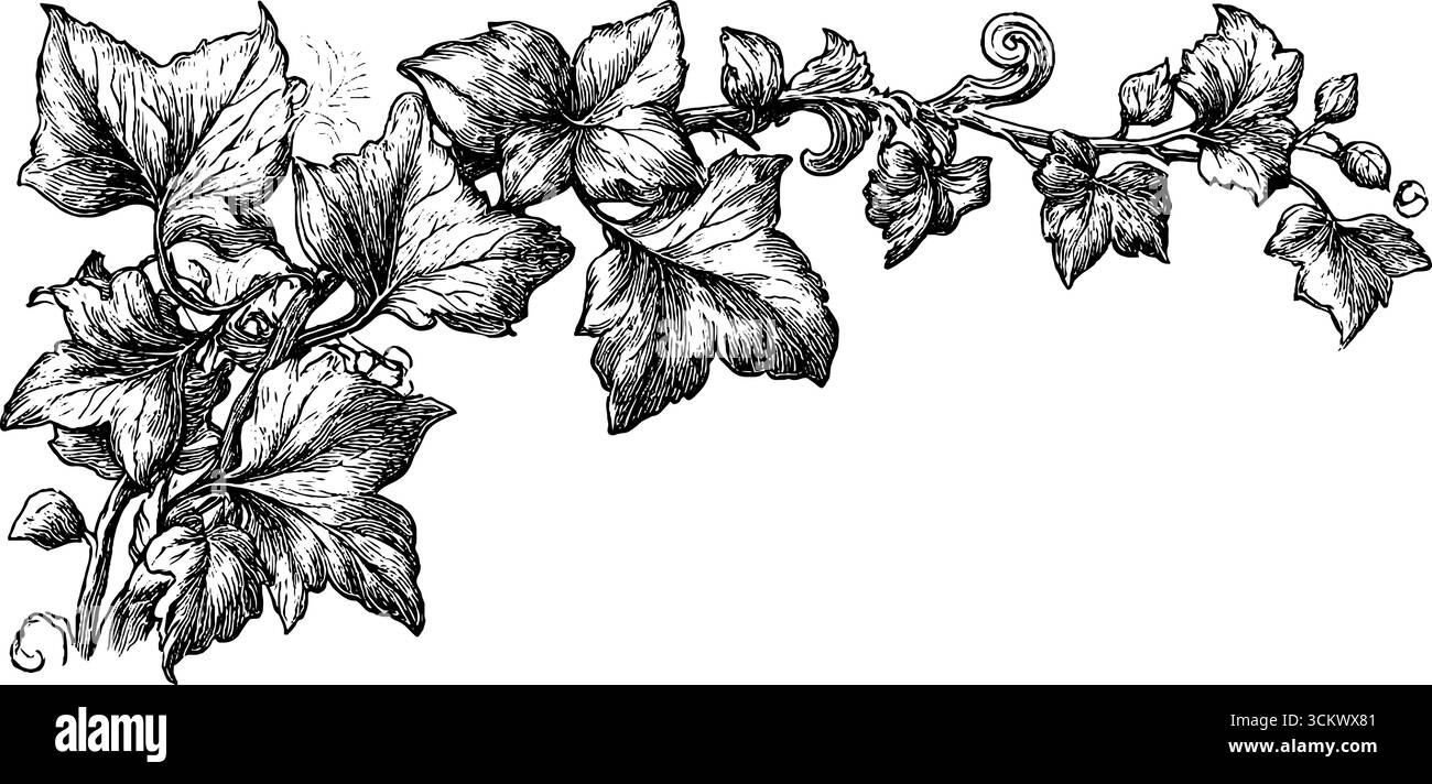 Set di striscioni Art Deco e gotico ivy per progetti di design eleganti. Illustrazione Vettoriale