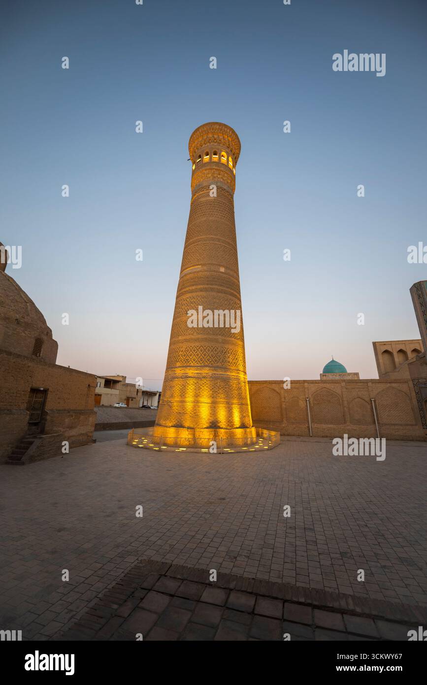 Il famoso minareto Kalyan a Bukhara, Uzbekistan. Foto Stock