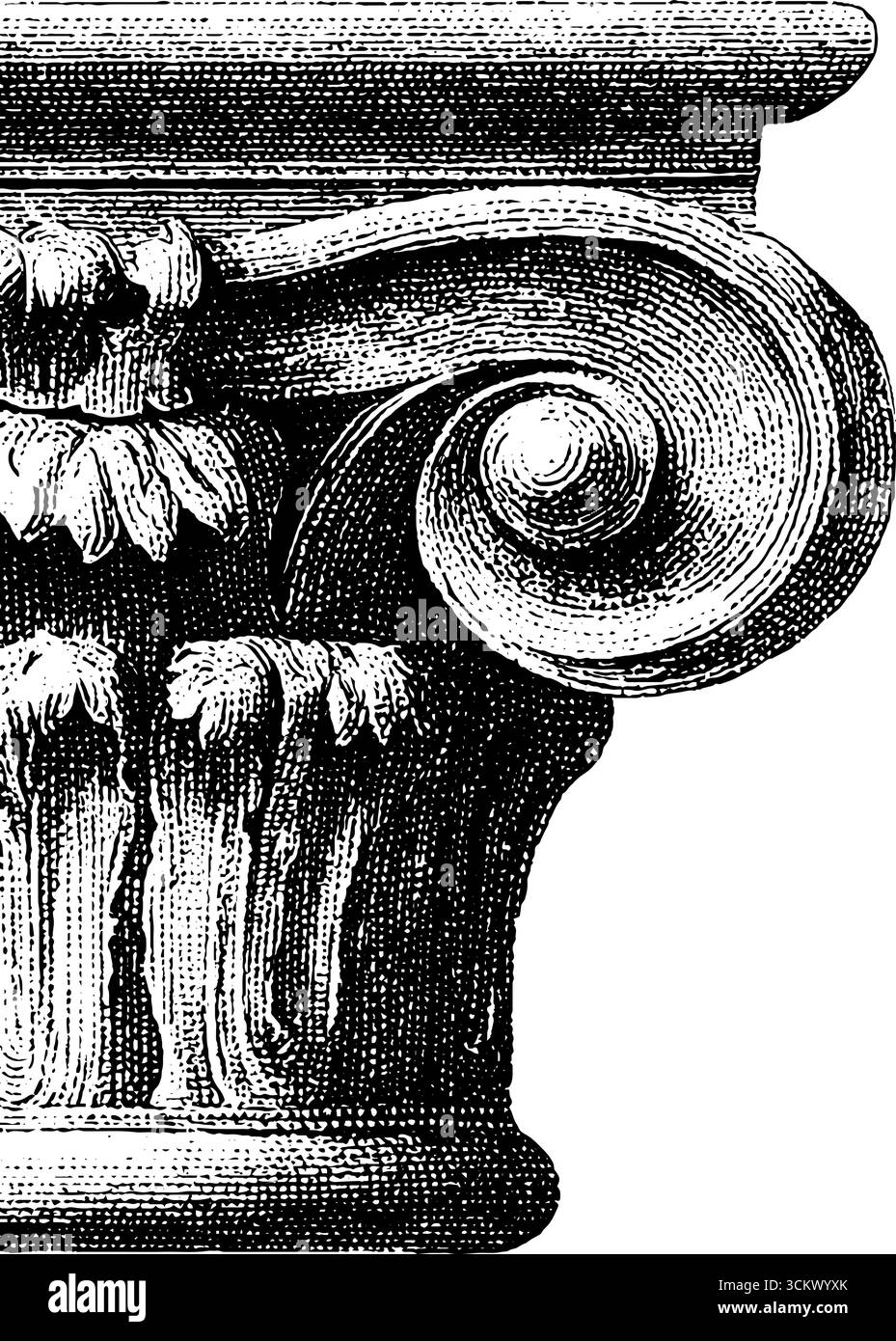 Complemento a spirale con incisione vintage per un design decorativo. Illustrazione Vettoriale