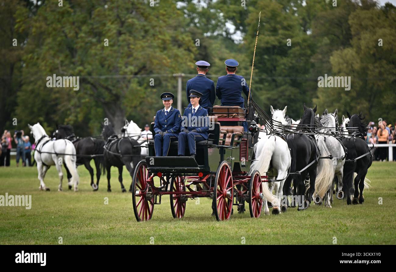 Il pilota Jiri Nesvacil Jr. Ha stabilito un nuovo record ceco quando oggi ha dimostrato di guidare una squadra a 24 cavalli il 13 settembre 2025 al National Stud Kladruby nad Labem, Repubblica Ceca. La precedente migliore prestazione in termini di numero di cavalli imbrigliati era 22. Nesvacil e la sua squadra di assistenti utilizzavano 12 paia di cavalli Kladruber, ciascuna composta da un cavallo bianco e un cavallo nero, in modo che la squadra risultante assomigliasse a una scacchiera. Anche il peso e la lunghezza delle redini erano record, pesando 52,3 chilogrammi e misurando un totale di 300 metri. L'intera squadra era a 35 metri lo Foto Stock
