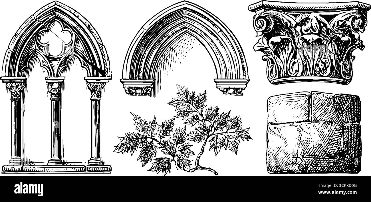 Archivolt gotico e mosaico bizantino elementi di nicchia con illustrazione botanica. Illustrazione Vettoriale