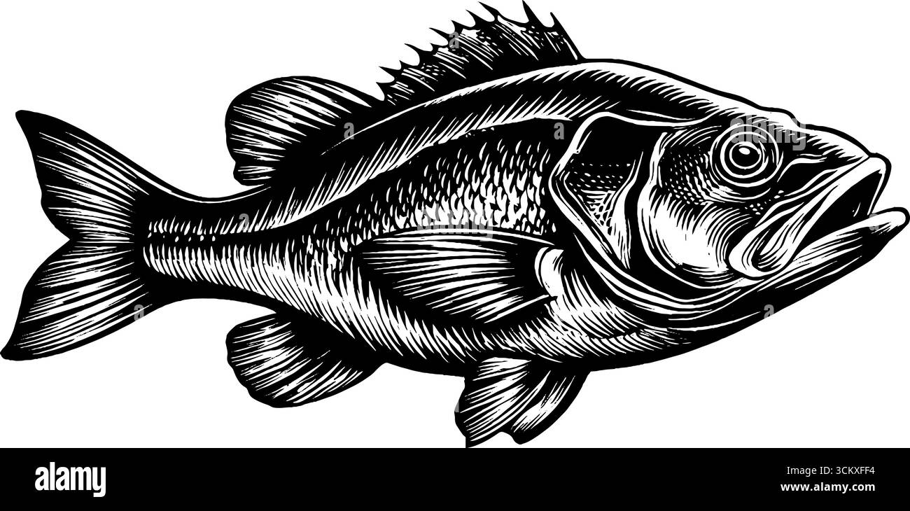 Impronta di pesci fossilizzati dettagliati in lastra di pietra per studi di storia naturale. Illustrazione Vettoriale