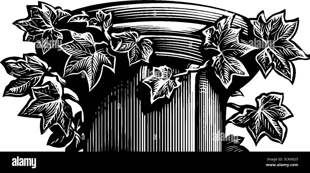 Colonna greca classica con viti di edera dal design bianco e nero. Illustrazione Vettoriale