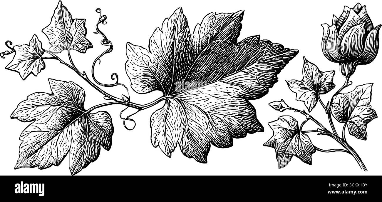 Ricami intricati a rete con edera stilizzata e foglie per un motivo tessile. Illustrazione Vettoriale