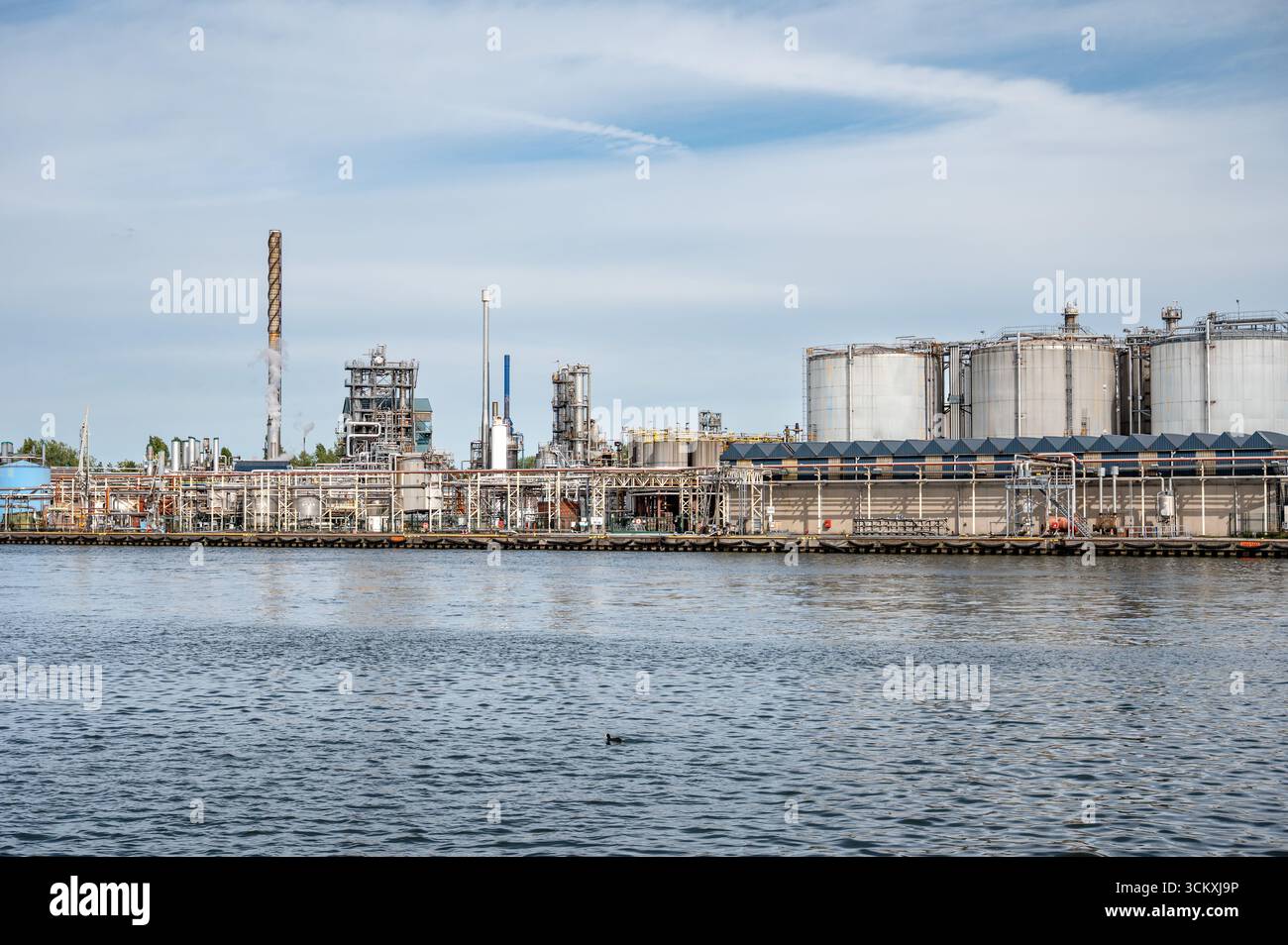Rain Carbon Zelzate sul canale di Gand Terneuzen a Zelzate, Fiandre Orientali, Belgio 6 settembre 2025 Foto Stock
