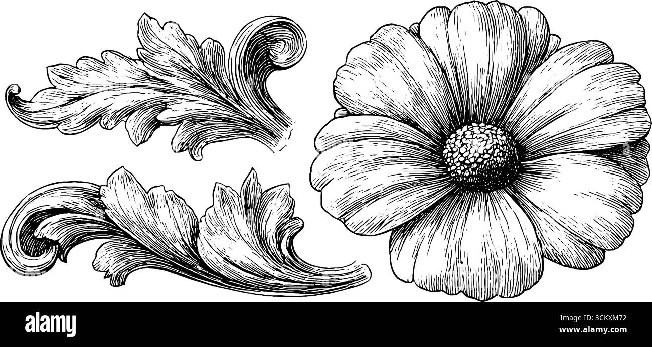 Elementi di design botanico vintage con curve a margherita e foglie per decorare e stampare. Illustrazione Vettoriale