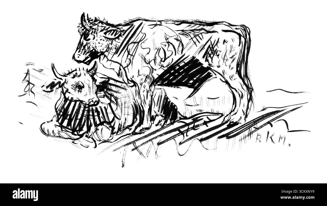 Sketchbook 19: Cows di Arnold Peter Weisz Kubincan - Slovacco Modernist Expressionist Animal Study, opera d'arte dell'inizio del XX secolo Foto Stock