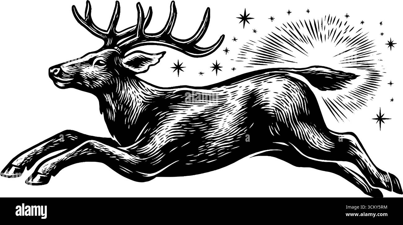 Cervi fantasma incantati con corpo vuoto e percorso stellare in una magica scena forestale. Illustrazione Vettoriale