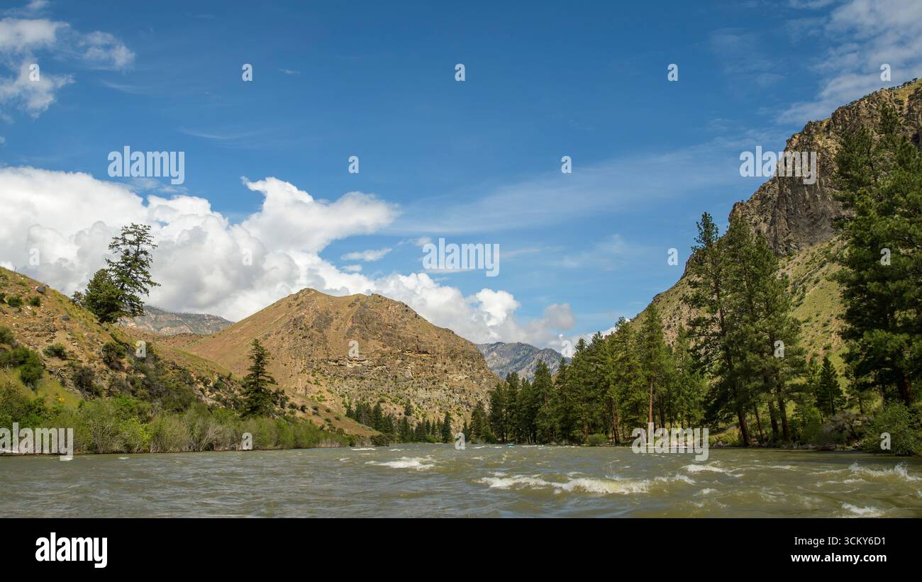 Middle Fork of the Salmon River, Frank Church River of no Return Wilderness, Idaho. Foto Stock