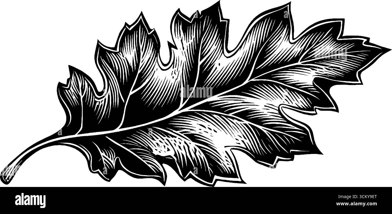 Intricata foglia autunnale con bordi arricciati in bianco e nero. Illustrazione Vettoriale