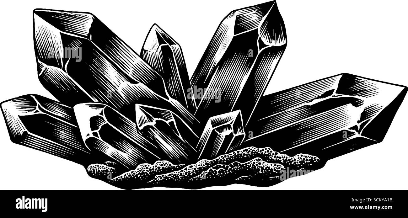 Straordinario campione di minerale bianco e nero sul banco espositivo del museo. Illustrazione Vettoriale