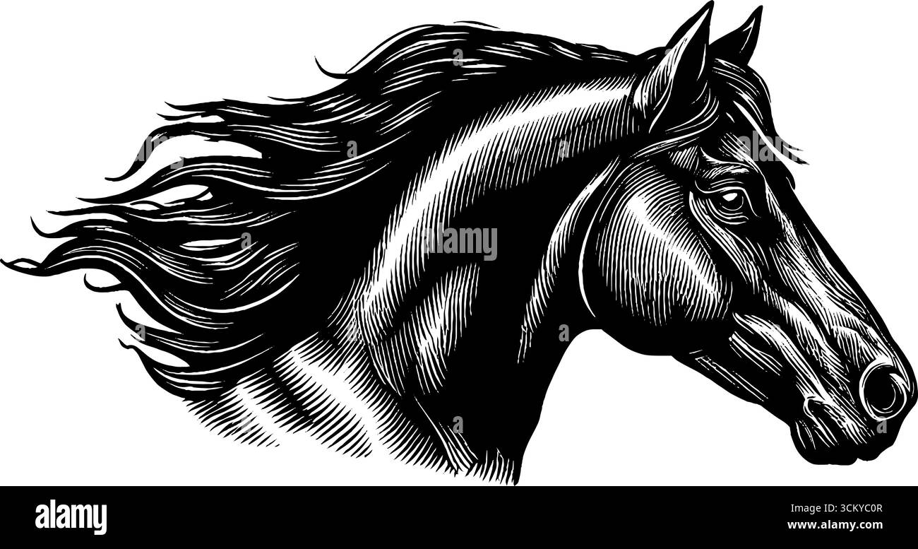 Maestosa kelpie nera con criniera fluente e goccioline d'acqua - mitica creatura artistica. Illustrazione Vettoriale