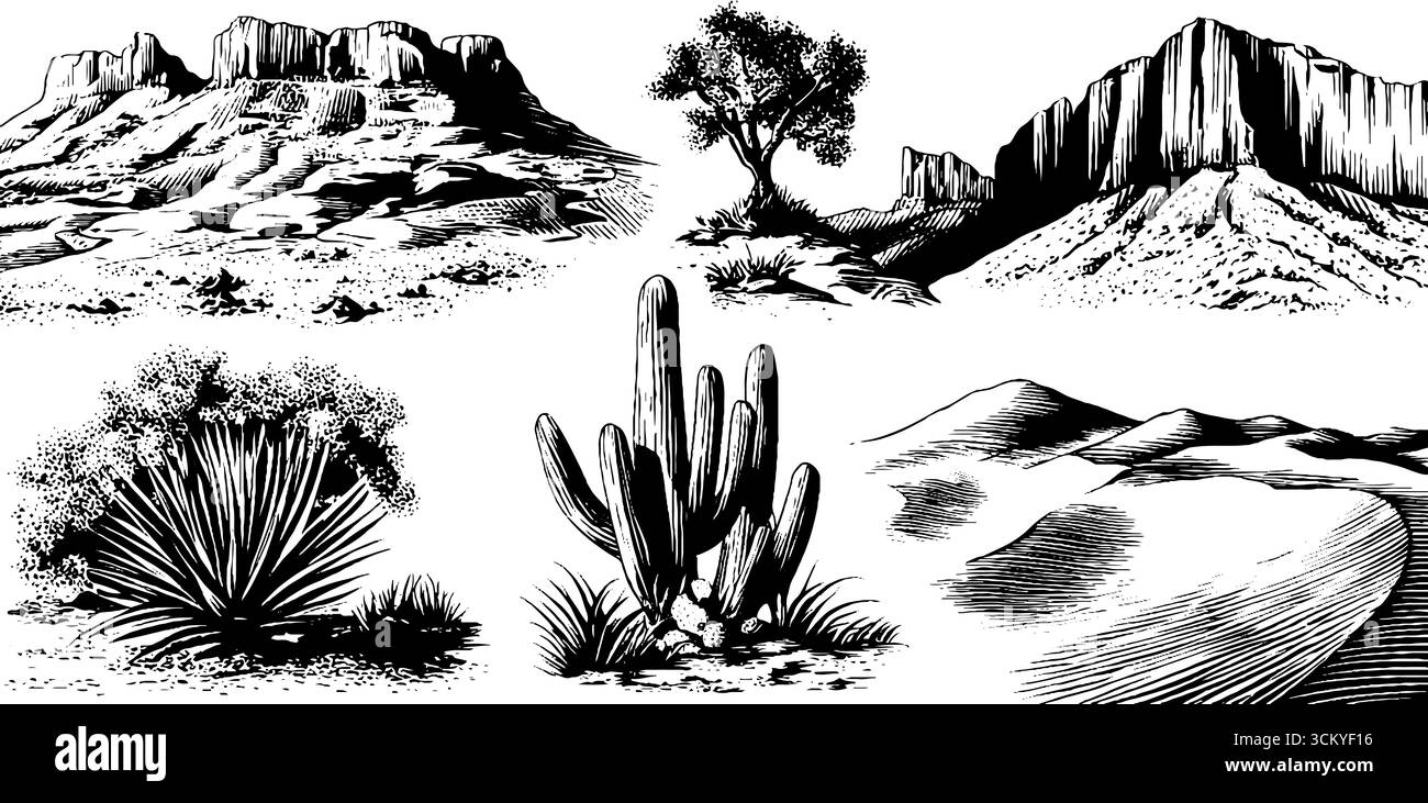 Paesaggi desertici: Insieme di pareti del canyon, dune di sabbia, cactus e vegetazione per design e decorazione. Illustrazione Vettoriale