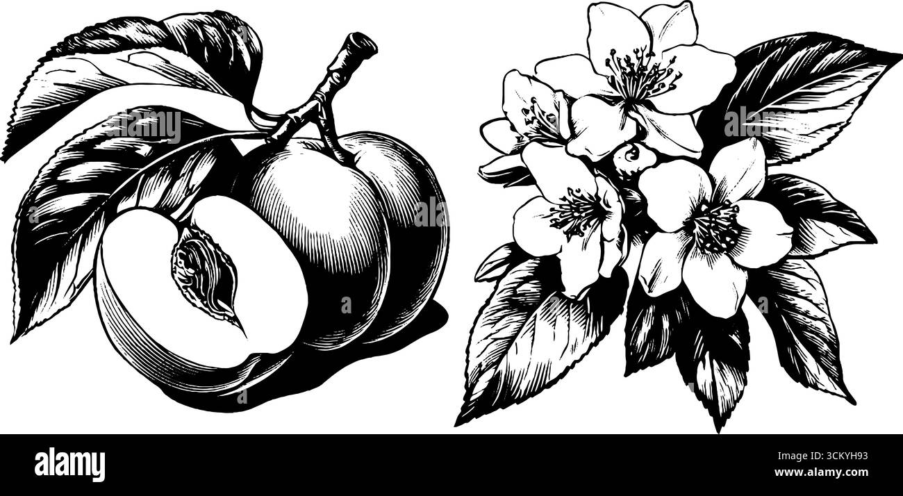 Pesche vintage trafilate a mano con texture fuzz e fiori per un design retrò. Illustrazione Vettoriale