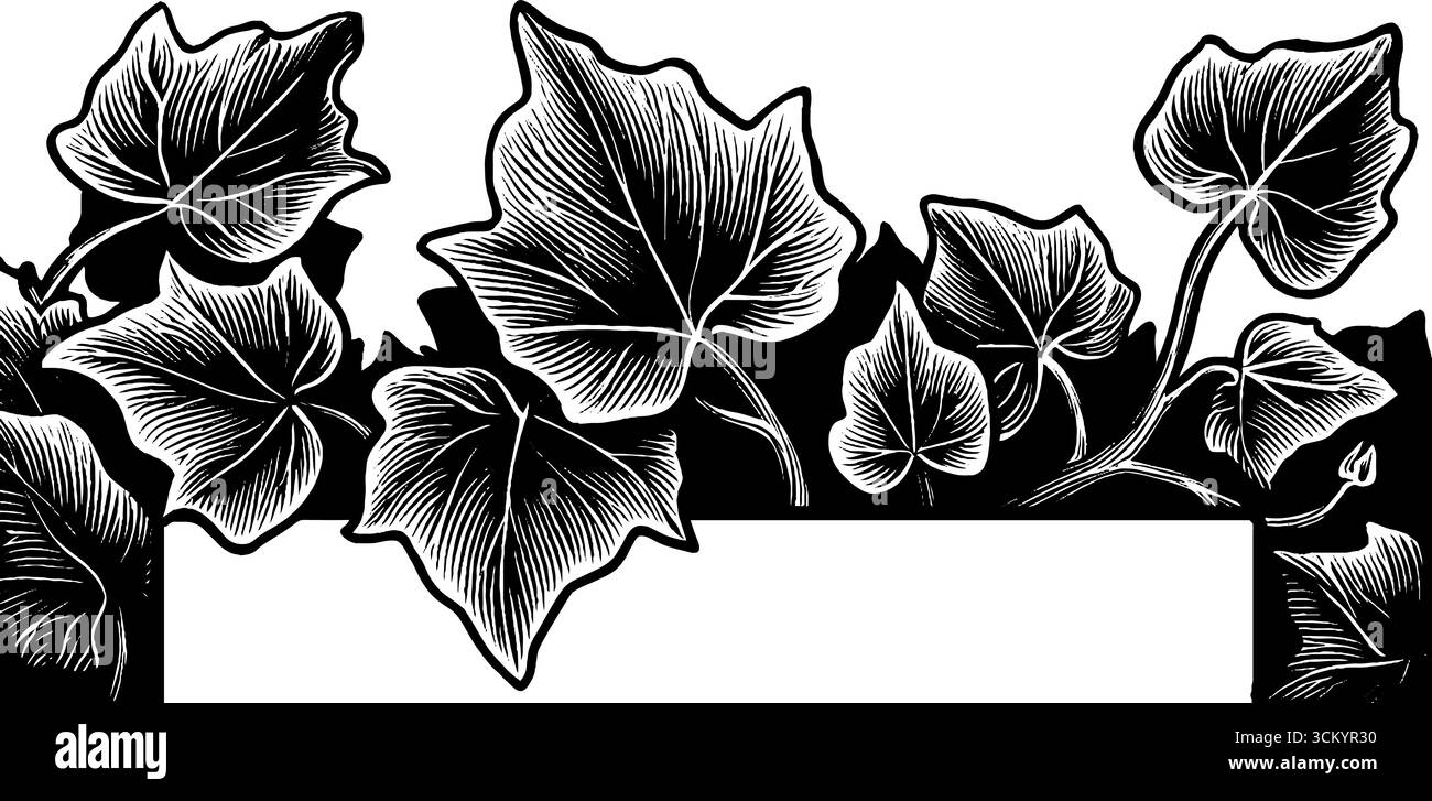 Elegante cornice ivy con bordi ombreggiati neri per arte e design. Illustrazione Vettoriale