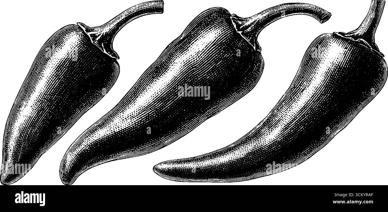 Peperoncino vintage e spezie girano a spirale in uno schizzo a onde di calore per un design retrò. Illustrazione Vettoriale