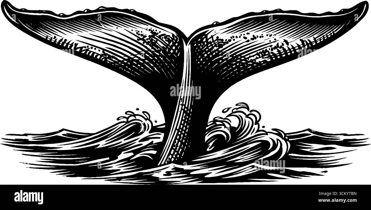 Coda di balena che emerge dalle onde dell'oceano in bianco e nero per un arredamento nautico. Illustrazione Vettoriale