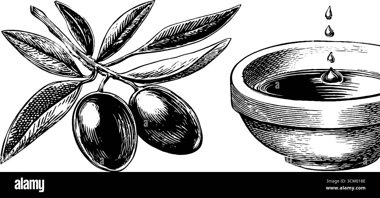 Ramoscello d'oliva e goccioline d'olio con design piatto in ceramica per un marchio naturale dei prodotti. Illustrazione Vettoriale