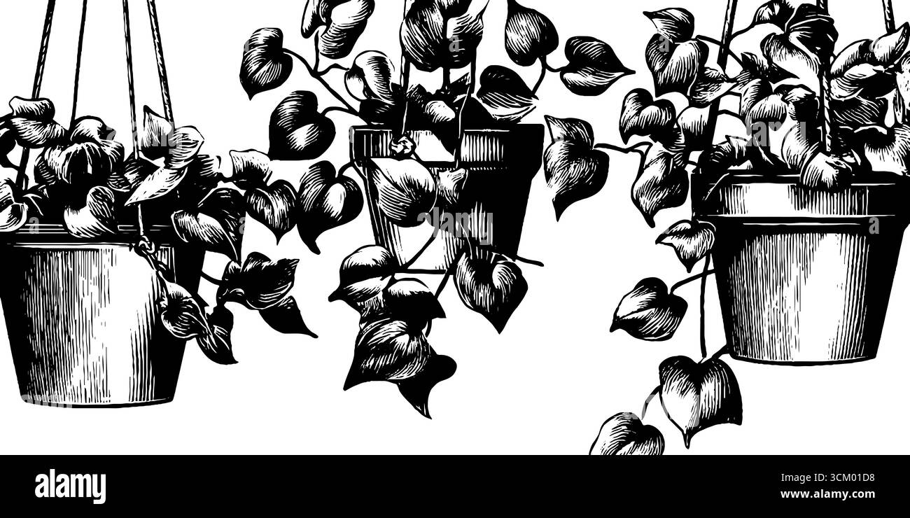 Fioriere sospese con design edera trainante per l'arredamento della casa. Illustrazione Vettoriale