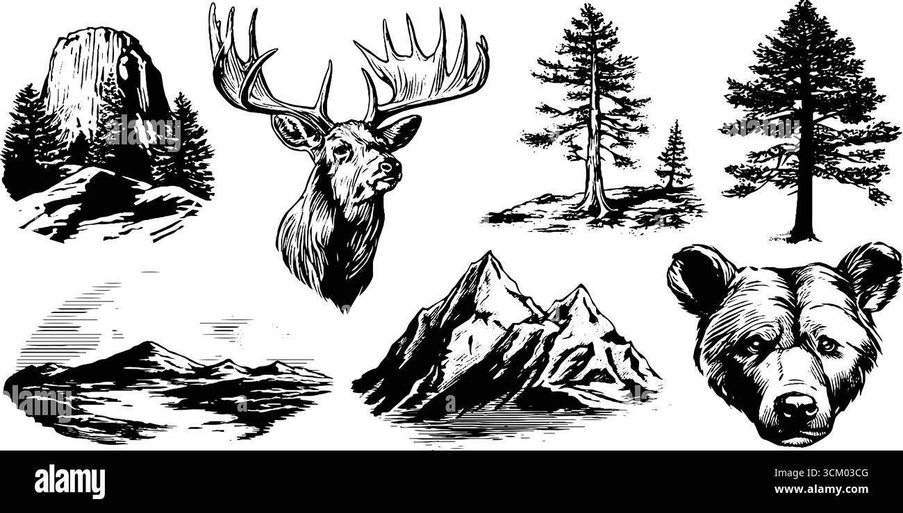 Animali selvatici rustici e icone della natura con cervi, orsi e paesaggi di montagna. Illustrazione Vettoriale