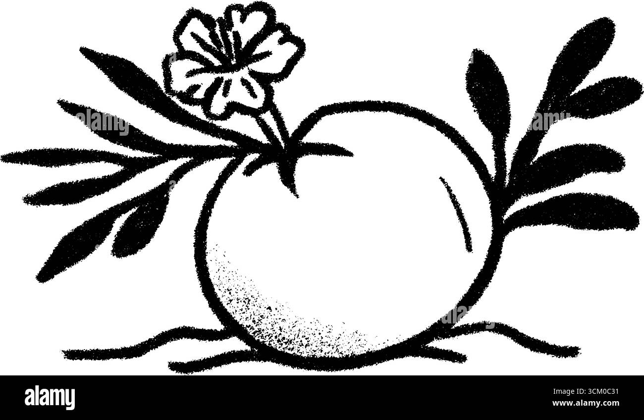 Bevanda al cocco con schizzi di paglia e fiori per un design tropicale. Illustrazione Vettoriale