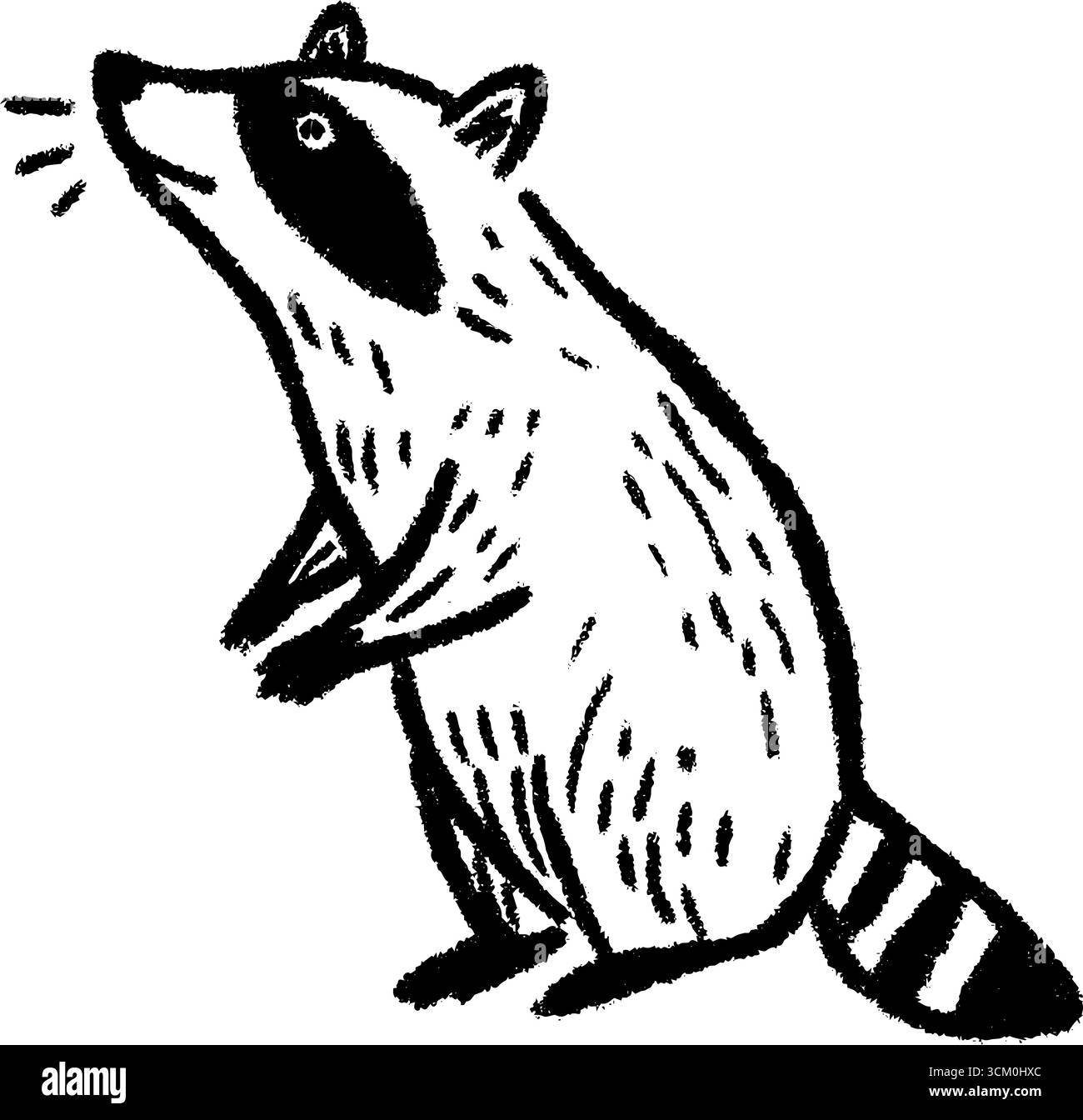 Divertente schizzo di un procione in piedi sulle gambe posteriori con baffi e strisce. Illustrazione Vettoriale